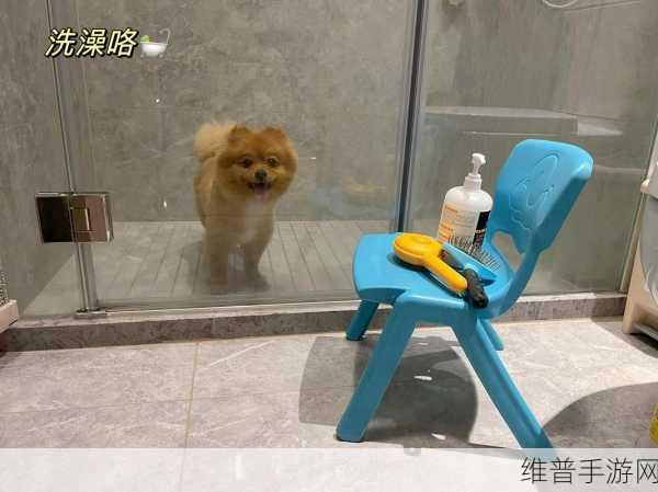 洗澡BBWBBWBBWBBW毛:1. 洗澡的乐趣:让你放松身心的小秘密