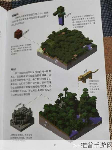 我的世界手游之门的奇妙制作指南