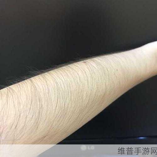 女人毛太多进不去：1. 女人毛发繁多如何应对？探讨方法与建议