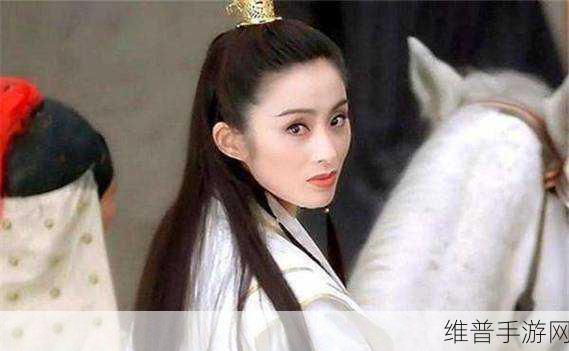 白洁赵敏张倩：1. 白洁与赵敏的友情：在困境中相互扶持