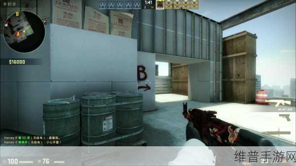 双人暴躁老阿姨csgo：1. 《双人暴躁老阿姨：CSGO中的冲突与和谐