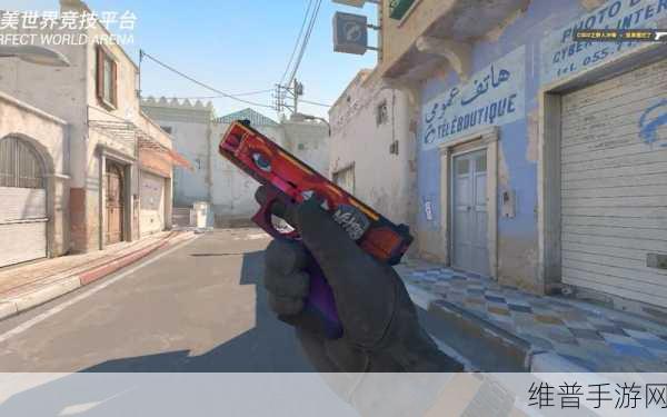 暴躁老阿姨CSGO：1. 暴躁老阿姨的CSGO战斗日常：菜鸟也能逆袭