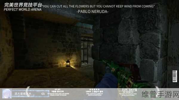 暴躁老阿姨CSGO：1. 暴躁老阿姨的CSGO战斗日常：菜鸟也能逆袭