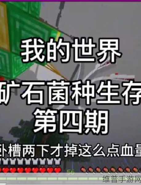 暴躁老外玩minecraft通知进行上架:1. "暴躁老外Minecraft挑战:打造终极生存基地!