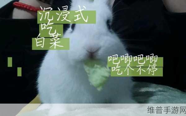 吧唧吧唧吧唧一口一口吃掉了：1. 一口一口，吃下满满的幸福
