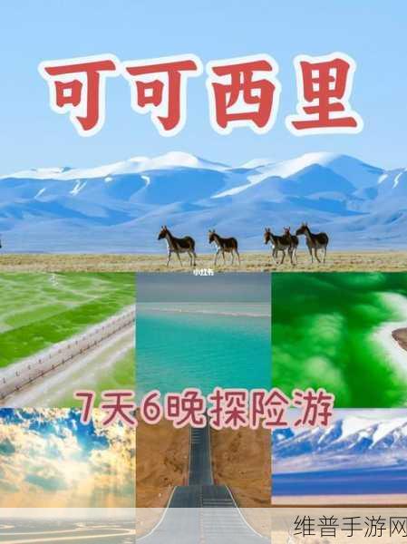 无人区编码6229Jm观天下事引发众议：1. 无人区编码6229Jm：探索未知的边界与秘密