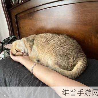 姜汁撞奶TXT阿司匹林:1. "姜汁撞奶:温暖你的每一个清晨