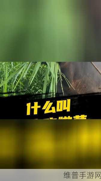 国外老牛吃嫩草的代表人物：1. 老牛与嫩草：跨代恋情的甜蜜与挑战