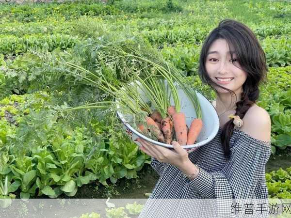 美女拔萝卜：1. 美女拔萝卜：农田里的青春与梦想
