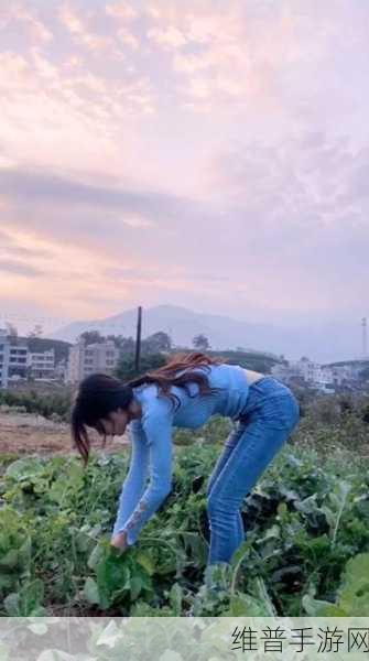 美女拔萝卜：1. 美女拔萝卜：农田里的青春与梦想