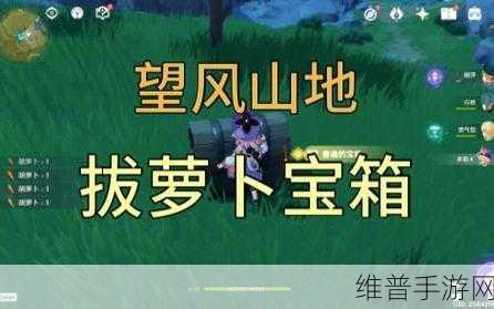 旅行者和丽莎拔萝卜：当然可以，以下是一些基于《旅行者和丽莎拔萝卜》故事的扩展