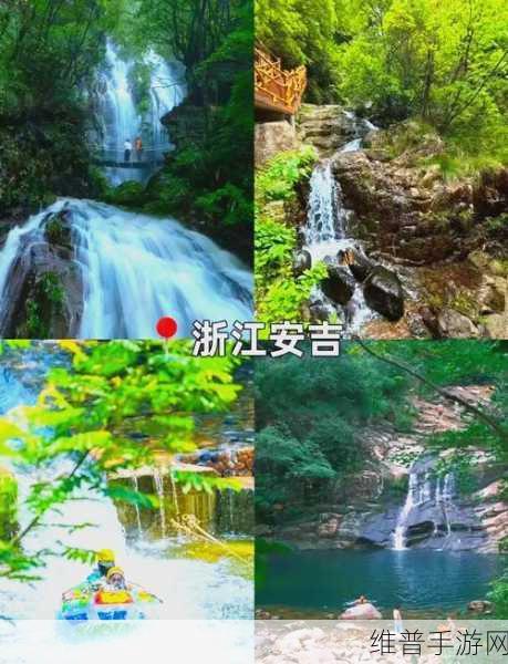 伊春园2023入口直达大象：伊春园2023年新增大象拓展项目，畅享自然与乐趣！