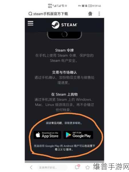 Steam手机应用，全面解析与手游攻略