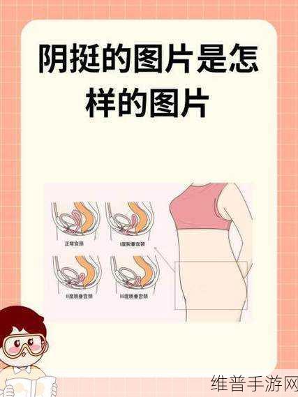女性得阴挺病是怎么回事：1. 女性阴挺病的成因与防治措施解析
