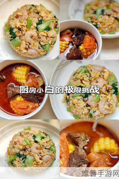 疯狂厨房双人模式玩法视频教程：1. ＂双人协作挑战：疯狂厨房的极限烹饪体验