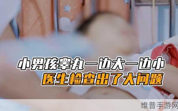 我们班有个男生睾丸特别大：关于班级男生睾丸特别大的趣味讨论与观察