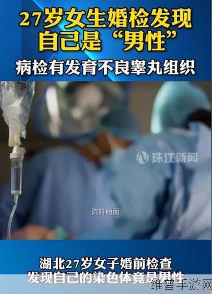 我们班有个男生睾丸特别大:关于班级男生睾丸特别大的趣味讨论与观察