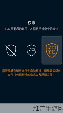 VLC引脚揭秘，手游开发者眼中的多媒体处理利器