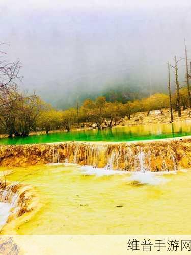 黄龙风景区溪水潺潺的秘密：1. 水声潺潺，黄龙秘境的自然交响曲