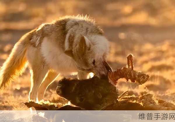 脆弱｜国产无人区码suv：1. 脆弱与坚韧：国产无人区SUV的探险之旅