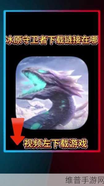 冰原守卫者，获取黑暗龙的终极秘籍