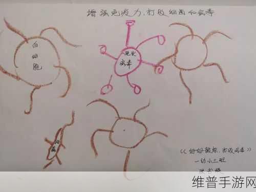 厨房里的叔叔阿姨真辛苦教案:1. 厨房里的辛勤身影:叔叔阿姨的默默奉献