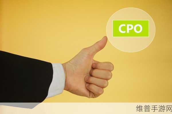 次次挨揍cpo的应对策略：1. ＂逆境中的反击：次次挨揍CPO的智慧应对