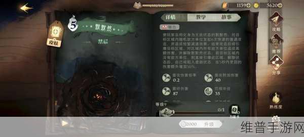 哈利波特,魔法觉醒单排攻略与卡组阵容搭配指南
