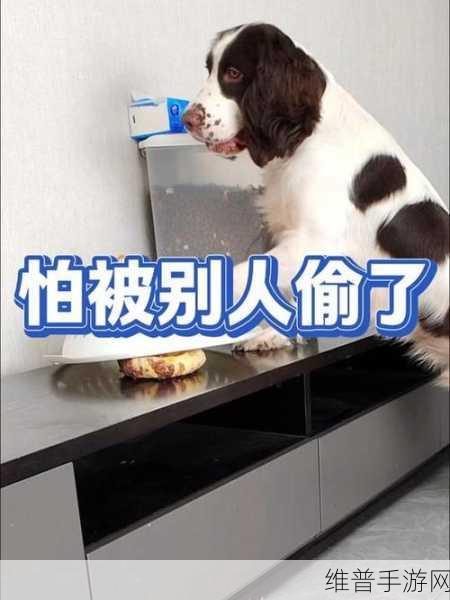 没带罩子让他吃了一天没事吧：1. 不小心忘带罩子，结果竟然平安无事