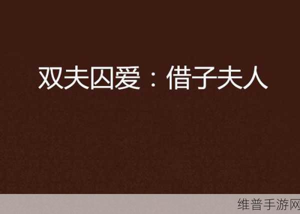 双夫1v2mo：1. ＂双夫携手共创幸福家庭，打破传统界限