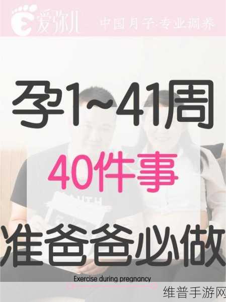 双夫1V2的推荐:当然可以!以下是一些基于“双夫1V2”的推荐扩展出的新
