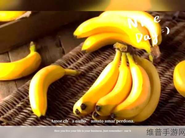 草莓视频无限看-丝瓜IOS苏州晶体：1. 苏州晶体拓展：草莓视频无限看新体验