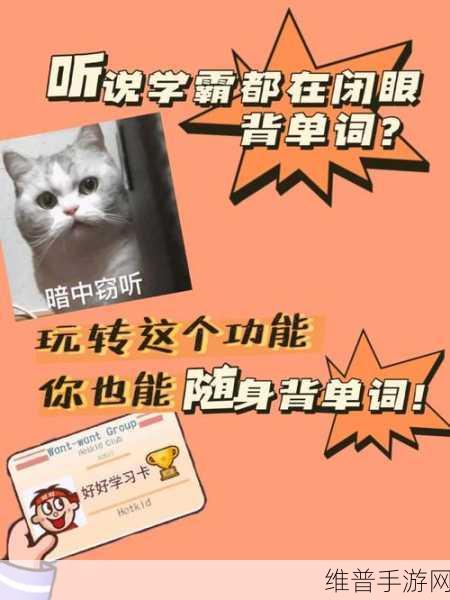 坐在学霸的棍子的上背单词：“从学霸的视角看单词记忆与学习策略”
