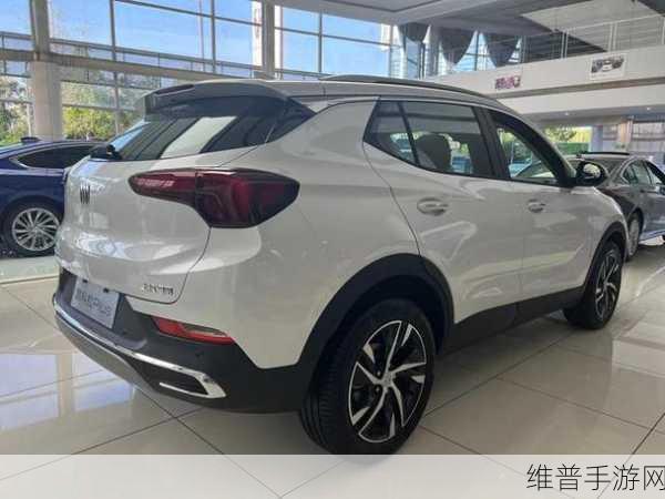 国产SUV精二区69：1. 探索国产SUV新风潮：精二区69的魅力解析