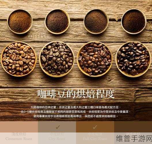 绝区零迷路的咖啡豆任务全解析