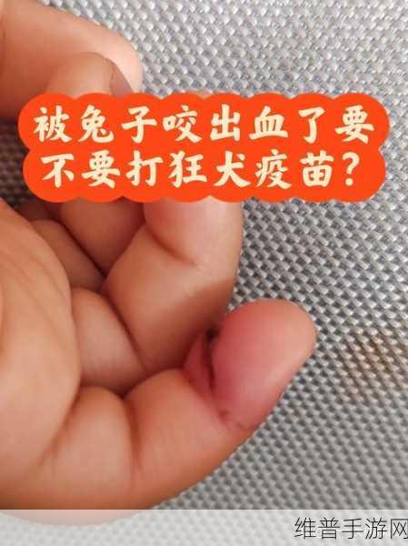 小白兔子被咬的通红：1. 小白兔的红肿伤口背后隐藏着什么秘密？