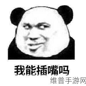 我可以插嘴吗无怎么看：当然可以！以下是一些基于“我可以插嘴吗”的新标题建议：