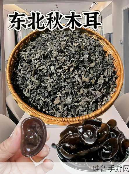 老婆的木耳能吃吗：1. ＂老婆的木耳能吃吗？探讨家庭饮食中的奇葩问题