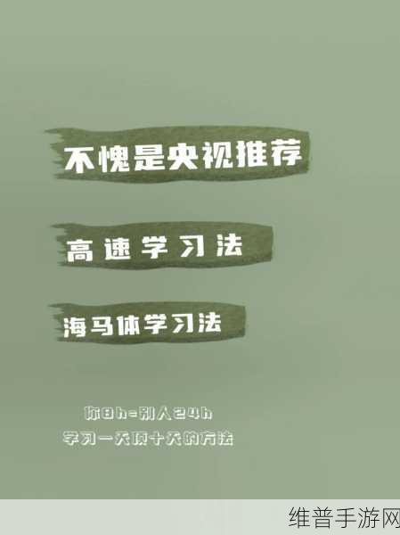 课后辅导：1. 高效学习策略：提升学术成绩的秘密武器