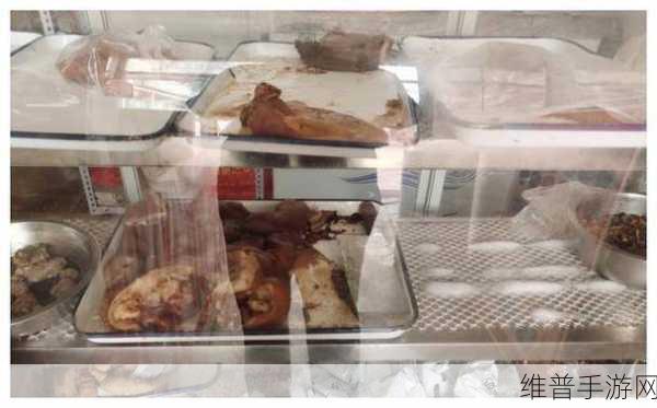 大妈山坡做皮肉生意：1. 大妈山坡的皮肉生意：寻味独特的人间美食