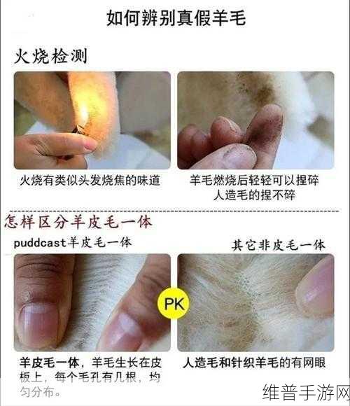 AAAA级毛皮最简单三个标志：AAAA级毛皮的识别与鉴别方法全解析