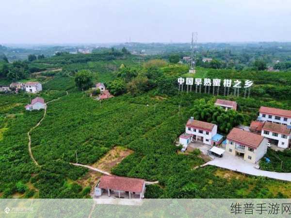 丰裕纵满2588：1. 丰裕纵满2588：探索经济发展的新机遇