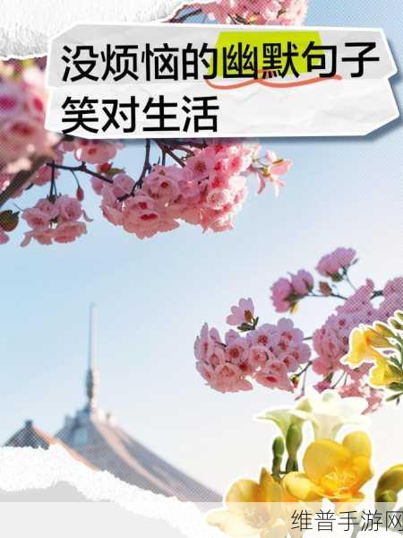 沈阳45岁老阿姨叫的没谁了：1. 沈阳45岁阿姨的幽默人生：笑对生活的不易