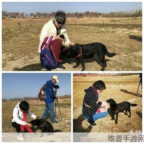 高清人和猪又细又长像钻头：1. ＂人猪共舞：细长身影如钻头般的奇妙结合
