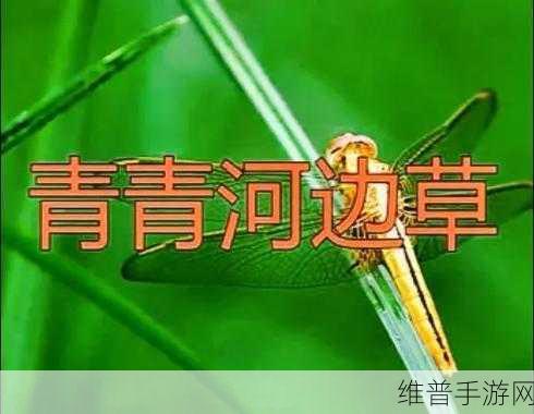 青青河边草高清免费版新闻群众：1. 青青河边草：探索自然与人文的完美结合