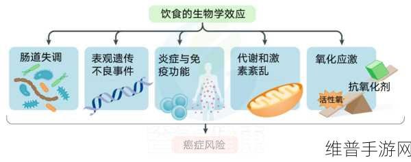肉食教师食取报告4：1. 《探秘肉食教师的饮食习惯与健康影响