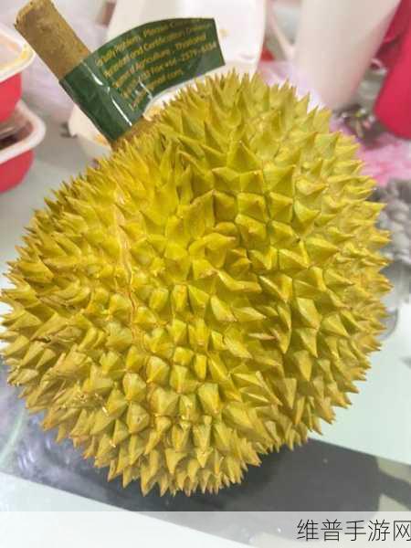 日韩一卡2卡3卡4卡新区榴莲解锁版宣布不限制访问：“日韩一卡通畅无阻，榴莲解锁版全新体验！”