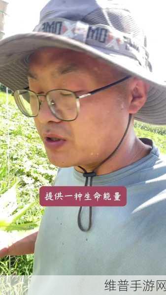 秋葵-茄子-丝瓜-绿巨人苹果在线观看：1. 《秋葵与茄子的美味交响曲：丝瓜的清新搭配