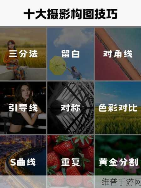 摄影艺术入门指南：1. 摄影艺术基础：从构图到后期处理的全面指南