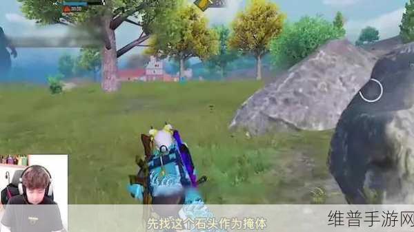 和平精英，金刚结晶与哥斯拉结晶的妙用指南